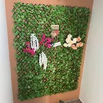 Ellenapa Apts & Apartament