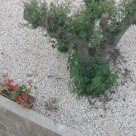 Ellenapa Apts & * Ayia Napa