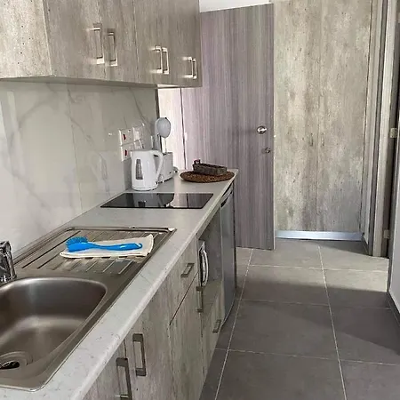 Lejlighed Ellenapa Apts & Ayia Napa
